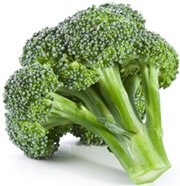 Broccoli