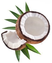 Cracked Coconut