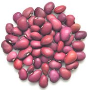 Kidney Beans